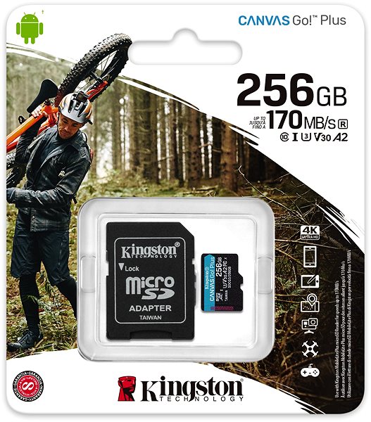 Speicherkarte Kingston Canvas Go Plus microSDXC 256 GB + SD-Adapter ...