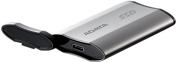 Externe Festplatte ADATA SD810 SSD 1TB, silber-grau ...