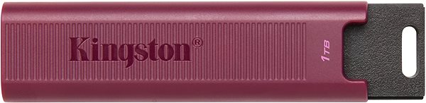Pendrive Kingston DataTraveler Max USB-A 1 TB ...
