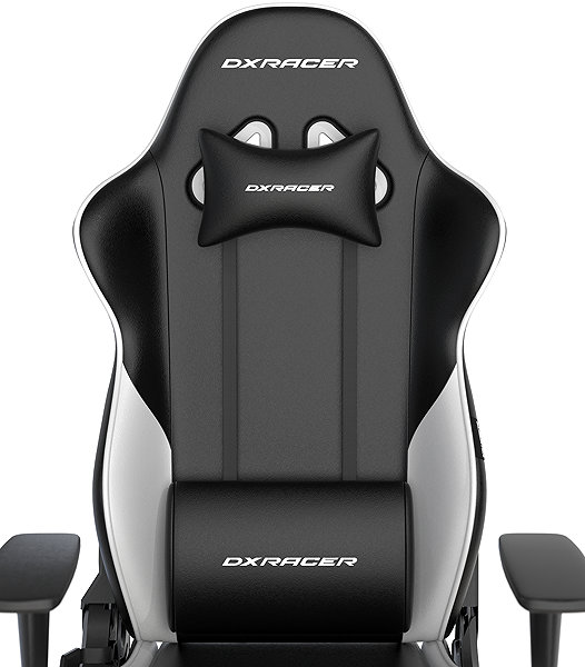 Gaming Chair DXRACER GLADIATOR black and white ...