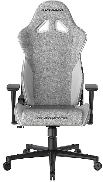 Gaming Chair DXRACER GLADIATOR grey and white, fabric ...