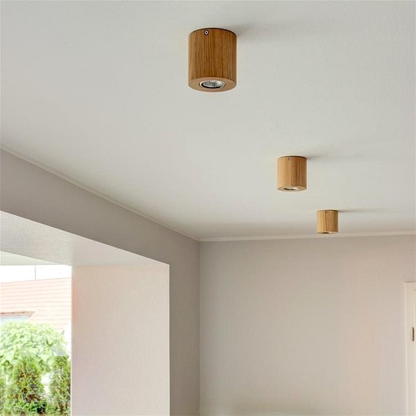 Ceiling Light Ceiling Light WOODDREAM, 1xGU10/6W/230V Lifestyle