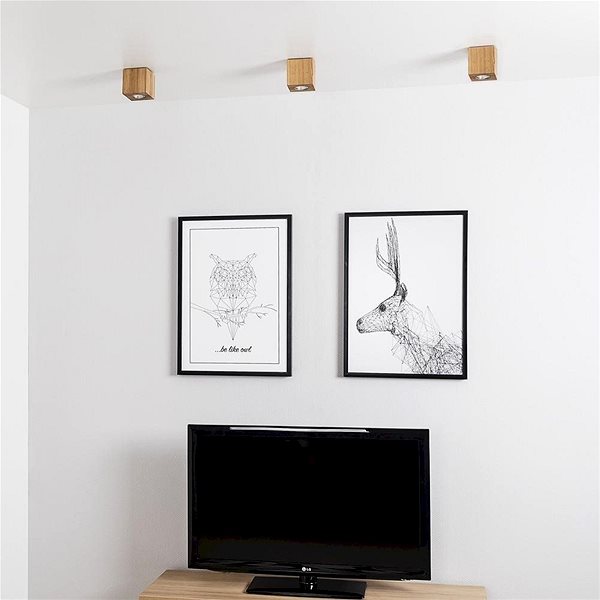 Ceiling Light Ceiling Light WOODDREAM, 1xGU10/6W/230V Lifestyle