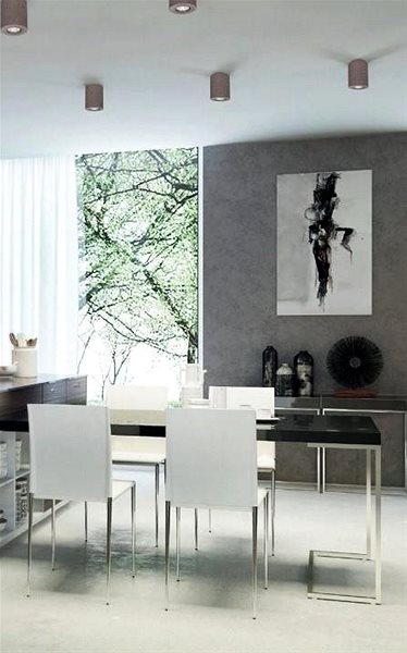 Ceiling Light Ceiling Light CONCRETE DREAM, 1xGU10/6W/230V Lifestyle