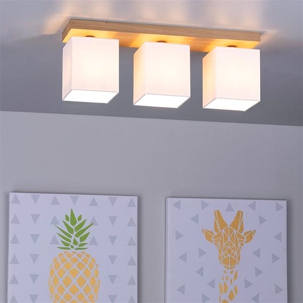Ceiling Light Ceiling Light INGER, 3xE27/25W/230V Lifestyle