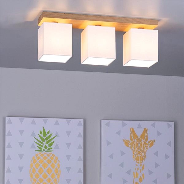 Ceiling Light Ceiling Light INGER, 3xE27/25W/230V ...