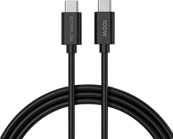 Wall Charger EcoFlow 65W GaN charger EU ...