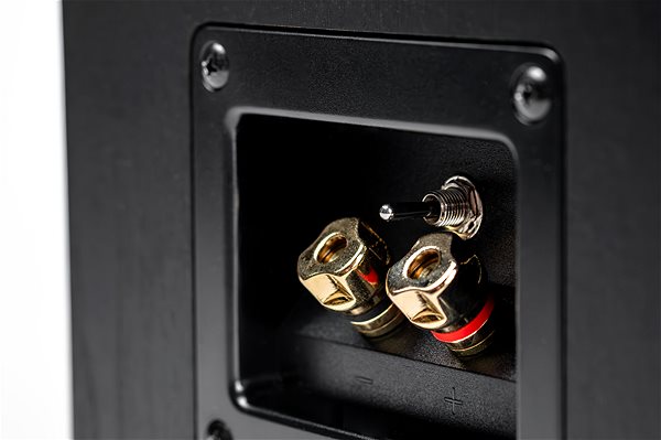 Speakers Elac Debut A4.3 .