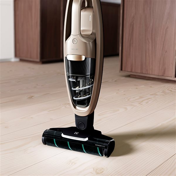 Upright Vacuum Cleaner Electrolux WQ71-P52SS Features/technology