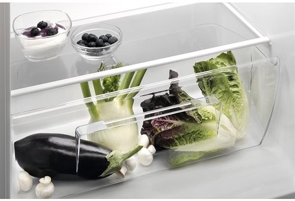 Refrigerator ELECTROLUX LTB1AF24W0 Lifestyle