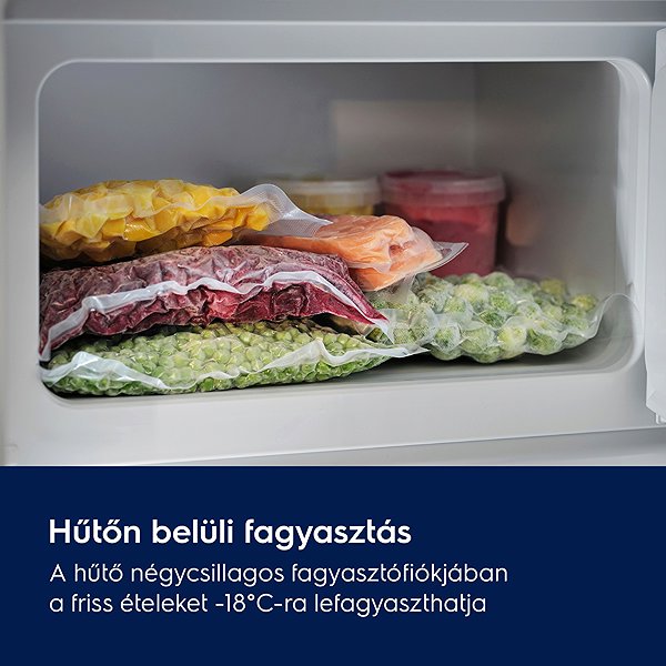 Built-in fridge ELECTROLUX LFB2AE88S1 Energy label