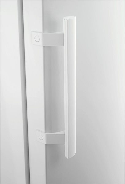 Refrigerator ELECTROLUX LRS1DF39W Accessory