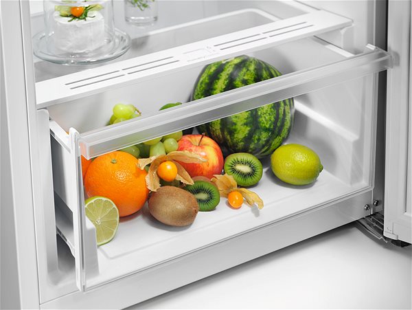 Refrigerator ELECTROLUX 600 LRB1DE33W ...