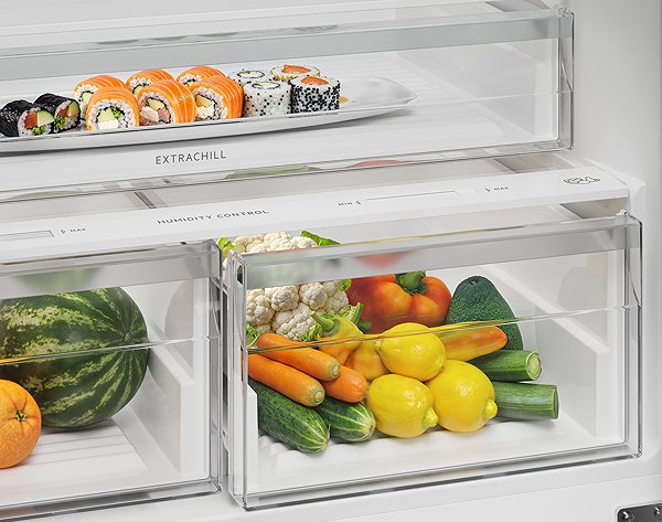 Refrigerator ELECTROLUX LNT7MD58B .