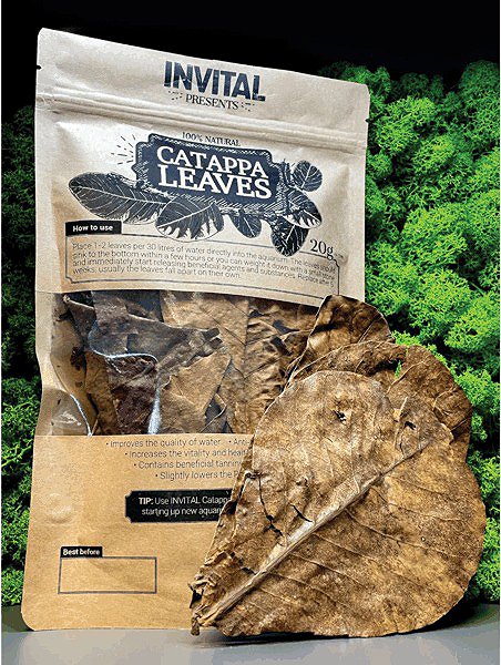 Aquarium water care INVITAL CatappaLeaves 20 g .