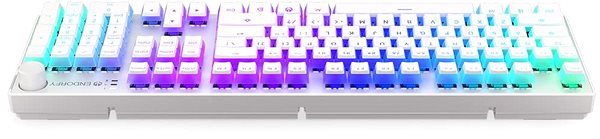 Gaming-Tastatur Endorfy Thock Wireless Red Onyx White Pudding ...