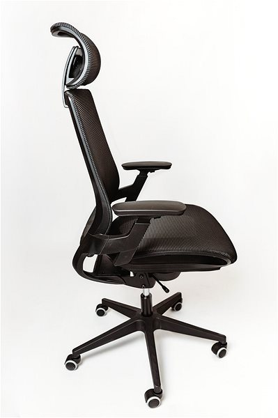 Office Chair SPINERGO Optimal Black Lateral view