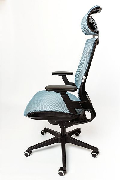 Office Chair SPINERGO Optimal Blue Lateral view