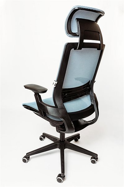 Office Chair SPINERGO Optimal Blue Back page