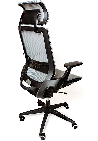 Office Chair SPINERGO Optimal Grey Back page
