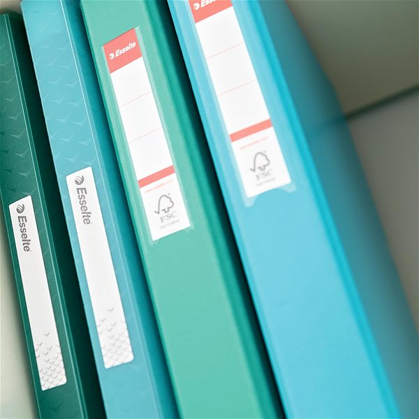 Ring Binder ESSELTE Colour Breeze A4 Two-Ring 25 mm, Blue Lifestyle