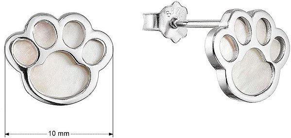 EVOLUTION GROUP 11519.1 mother-of-pearl silver earrings (AG 925/1000; 1g) .