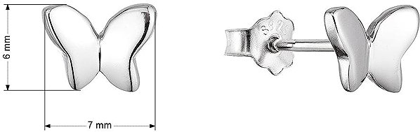 EVOLUTION GROUP 61031 ag earrings (AG 925/1000; 0.9g).