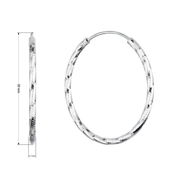 EVOLUTION GROUP 61007 AG hoop earrings (AG 925/1000; 2 g).