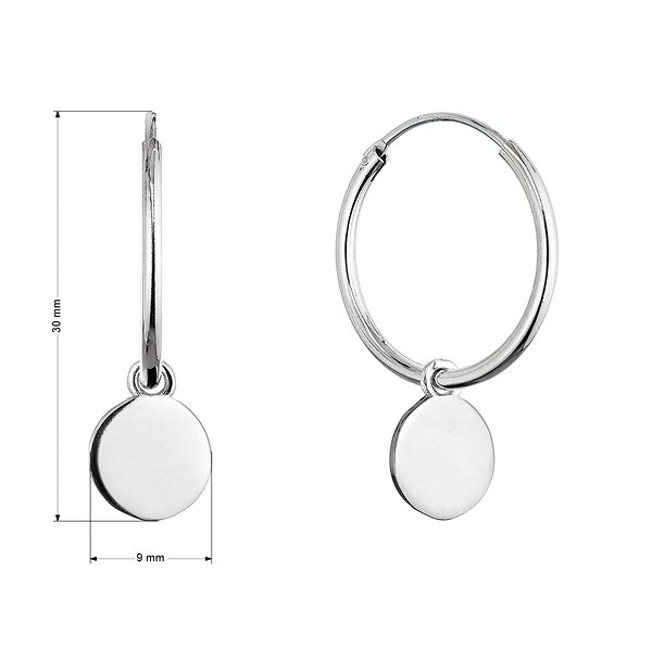 EVOLUTION GROUP 61058 silver earrings (AG 925/1000; 2g).