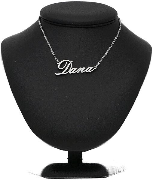 Ewena steel necklace with the name Dana in silver.