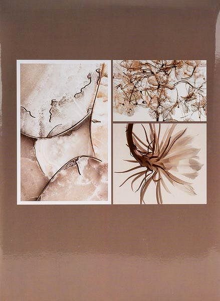 Photo Album Fandy 230008 - 1, 10 × 15 cm, for 200 photos ...