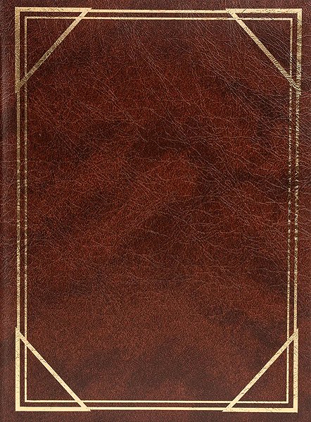 Photo Album Fandy B-46300/2S Vinyl 2 brown ...