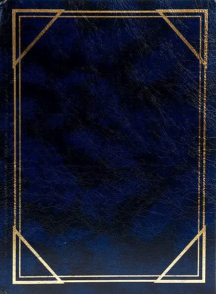 Photo Album Fandy B-46300/2S Vinyl 3 blue ...