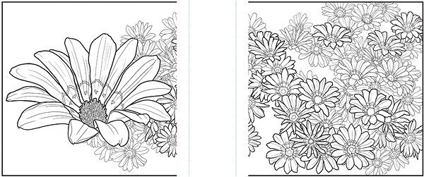 colouring page colouring page Flowers .
