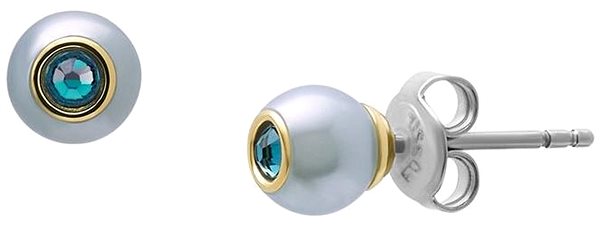 Fossil JA7252710 earrings.