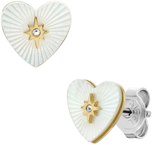 Fossil Sutton JF04732710 earrings.