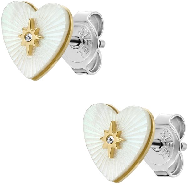 Fossil Sutton JF04732710 earrings.