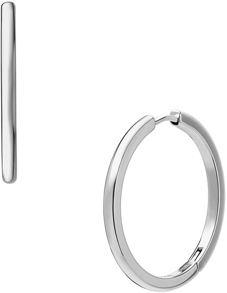 Fossil Ellis JF04743040 earrings.