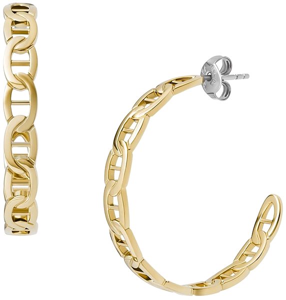 Fossil Heritage JF04781710 earrings.