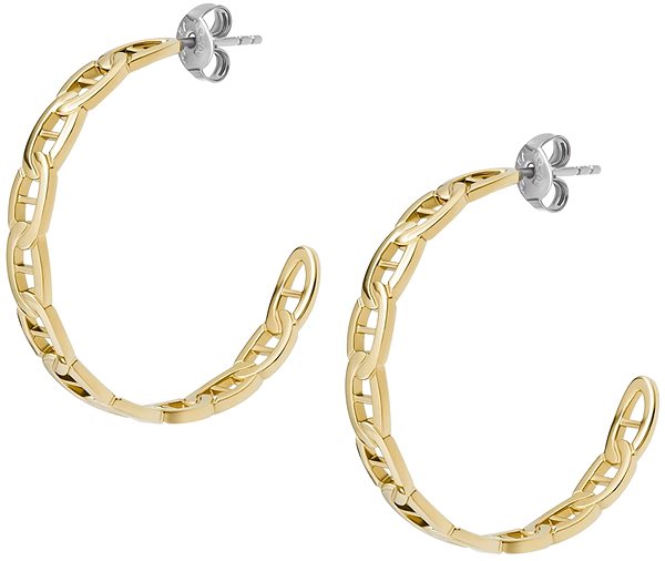 Fossil Heritage JF04781710 earrings.