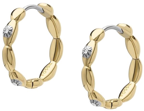 Fossil Sutton JF04795710 earrings.