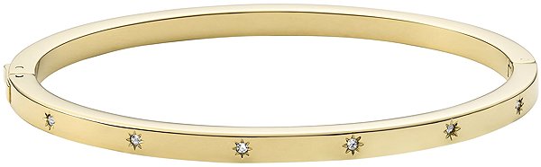 Fossil Women's Rigid Steel Bracelet JF03872710 .
