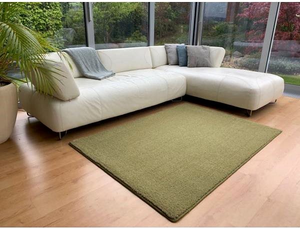 Koberec Kusový koberec Udine zelený 80 × 150 cm ...