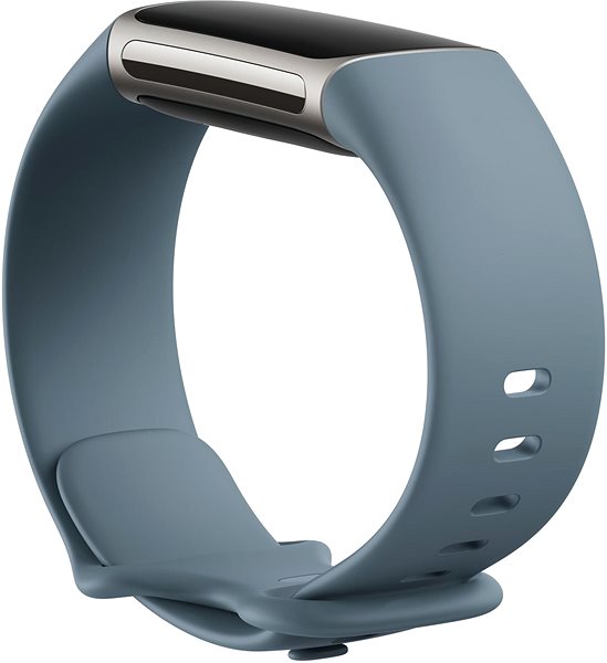 Fitness Tracker Fitbit Charge 5 Steel Blue/Platinum Stainless-Steel Lateral view