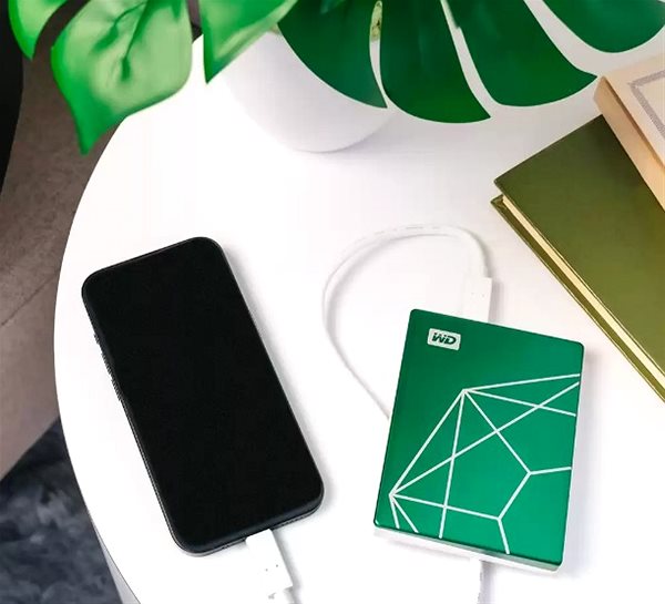 External Hard Drive WD 2.5
