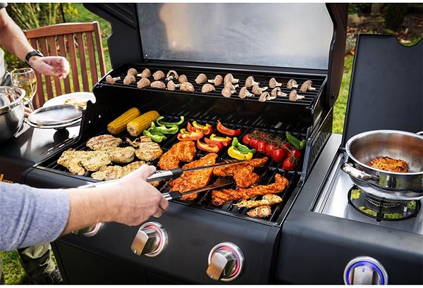 Grill Riwall PRO Gas grill RGG 21 .