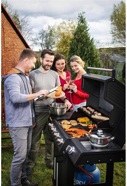 Grill Riwall PRO Gas grill RGG 21 .