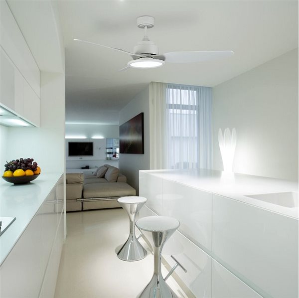 Fan Sulion 072141 Moon, ceiling fan with light ...
