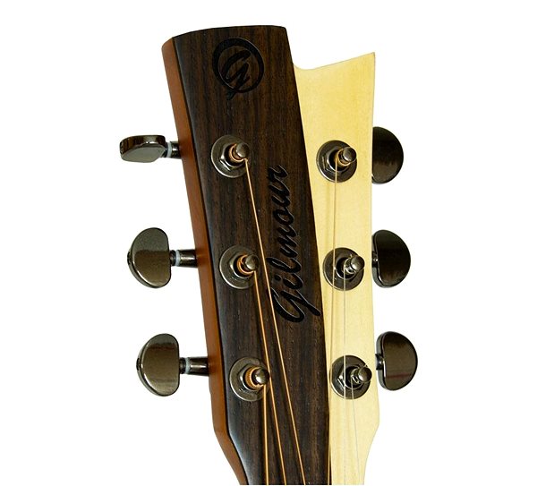 Elektroakustická gitara Gilmour Antique EQ ...