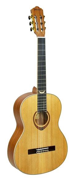 Classical Guitar Gilmour Classic 4/4 Screen